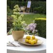 Mila kerti kaspó, mustársárga, D32,5cm