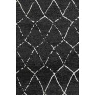 Crossley kültéri szőnyeg, fekete, 170x240 cm