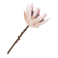 King Protea művirágcsokor, bordeaux keverék