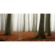Covered Autumn vászonkép, 140x70cm