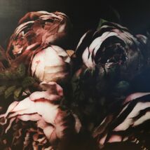 Secret Garden kép, Roses, 150x150 cm