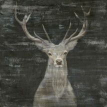 World of Animals kép, Deer, 80x80 cm