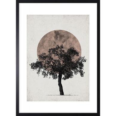 Zen tree kép, 53x73 cm