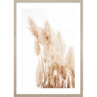 Grass in the wind No.2 kép, 53x73 cm
