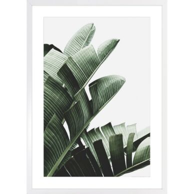 Banana leaf II. kép, 53x73 cm