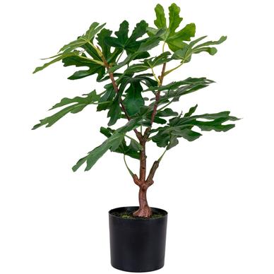 Művirág, fügefa, H50 cm