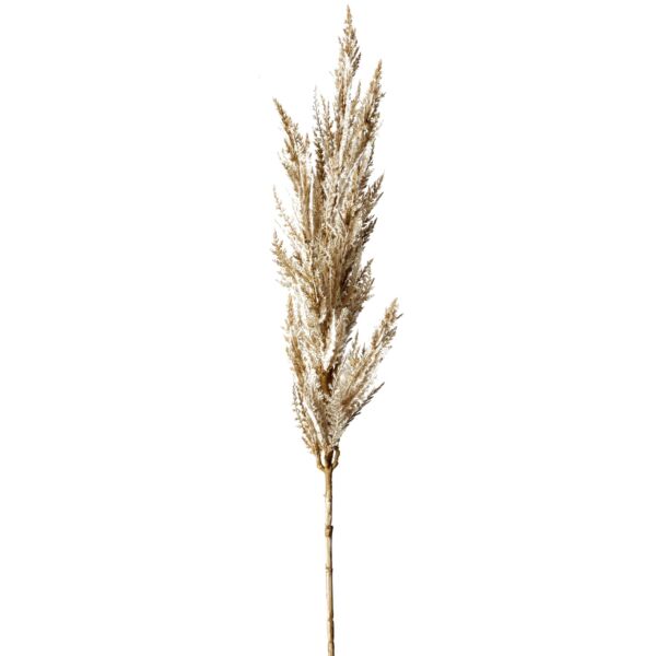 Pampas műnövény, bézs, 90 cm