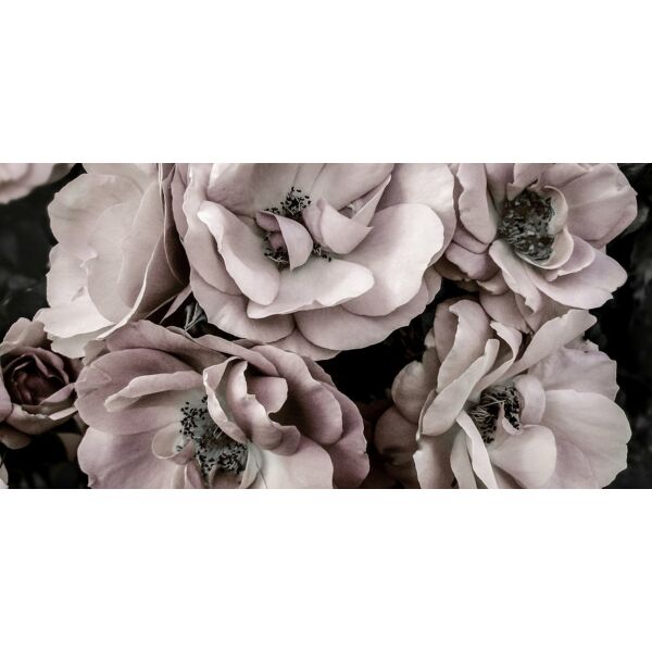 Secret Garden kép, Pastel Rose, 70x140 cm