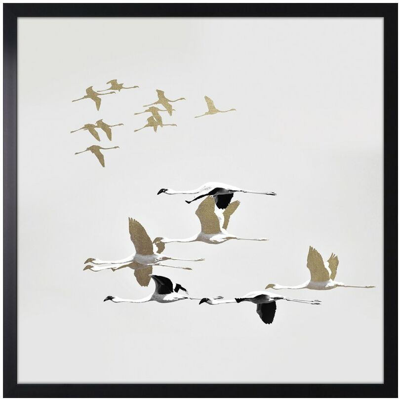 Cranes in flight kép, 53x53 cm