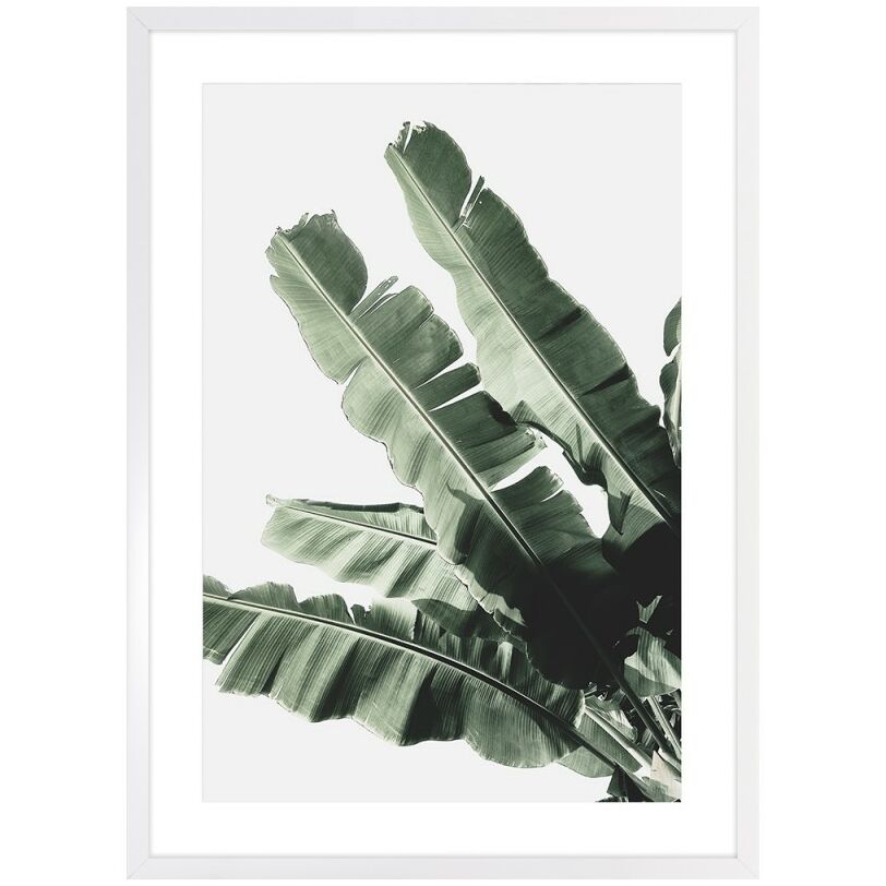 Banana leaf I. kép, 53x73 cm