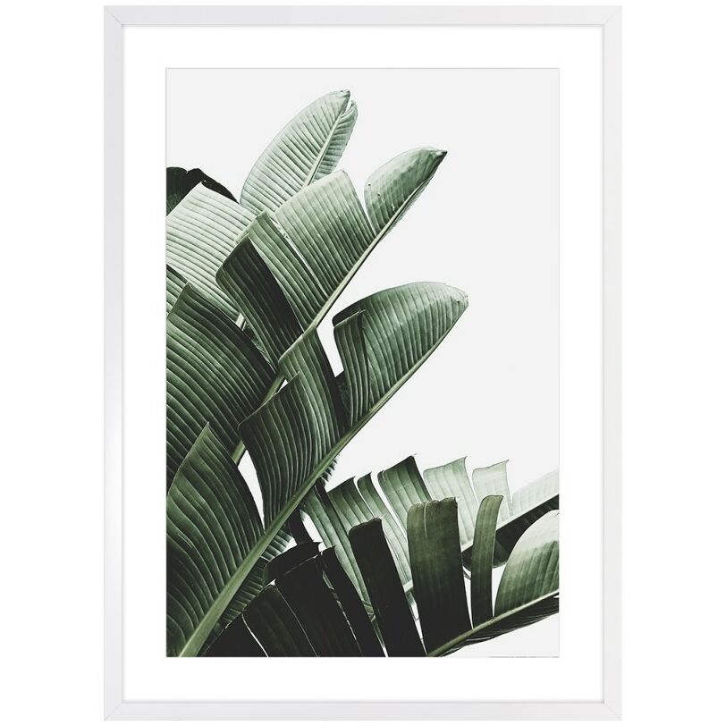 Banana leaf II. kép, 53x73 cm