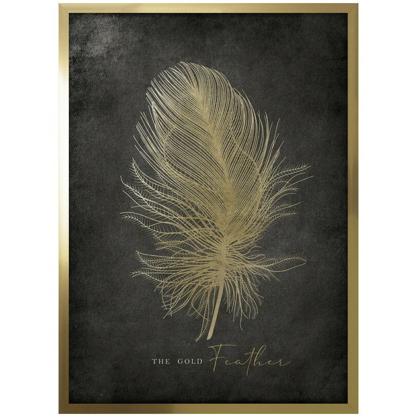 Golden feather kép, 53x73 cm