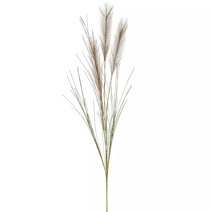 Pampas műnövény, világosbarna, 70 cm