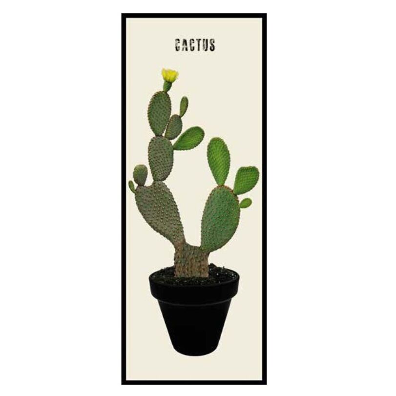 Kaktusz cserépben kép, 30x80 cm
