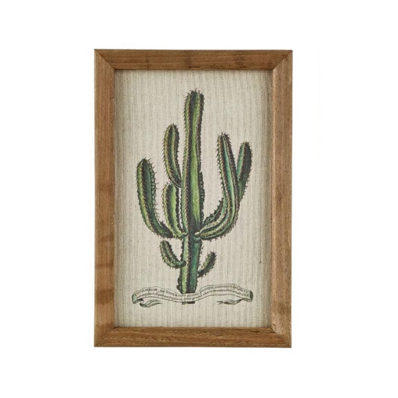 Cactus I. kép, 20x30 cm